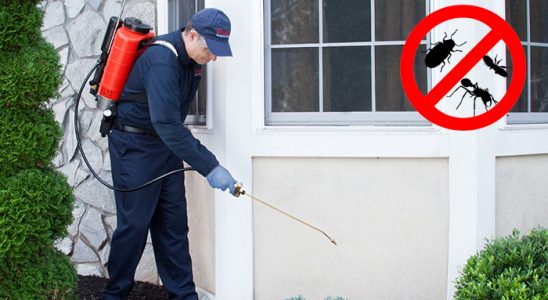 Şehitkamil Hamam Böceği İlaçlama böcek ilaçlama ve haşere kontrolü — ilaclama-tr.com